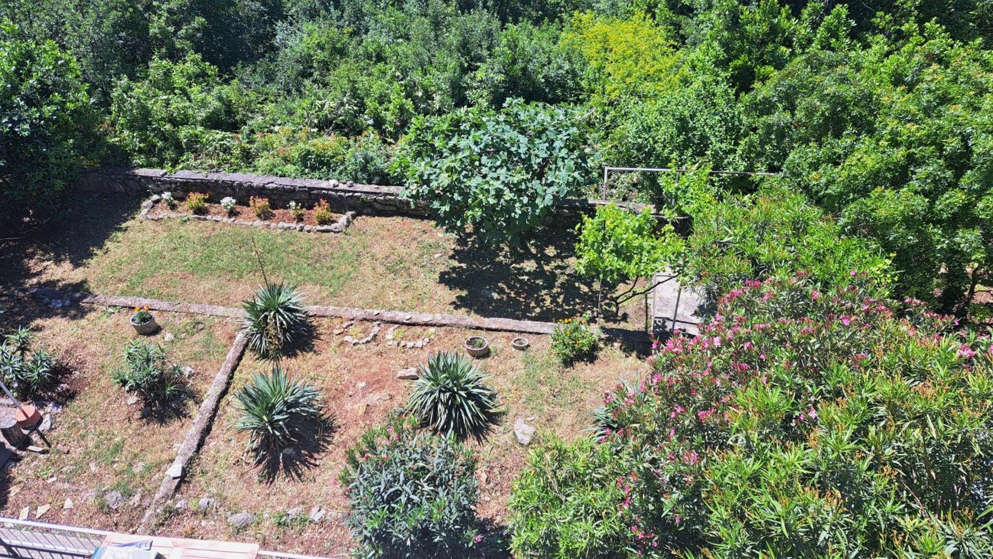 דראמליי Apartmani E&G מראה חיצוני תמונה